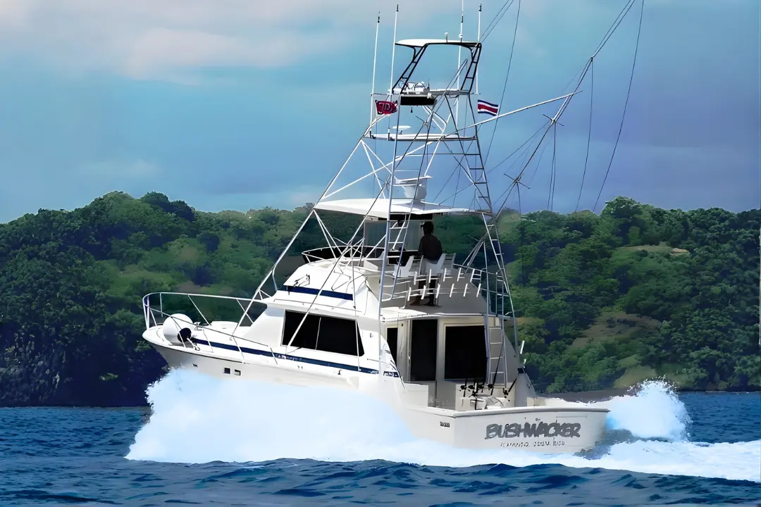 Yachts buschwacker