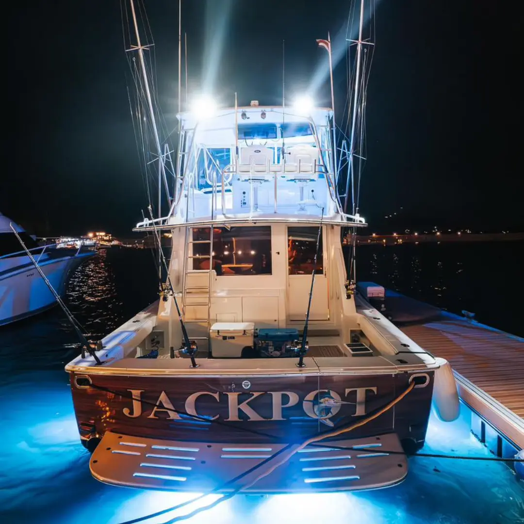 Jackpot jp back noche