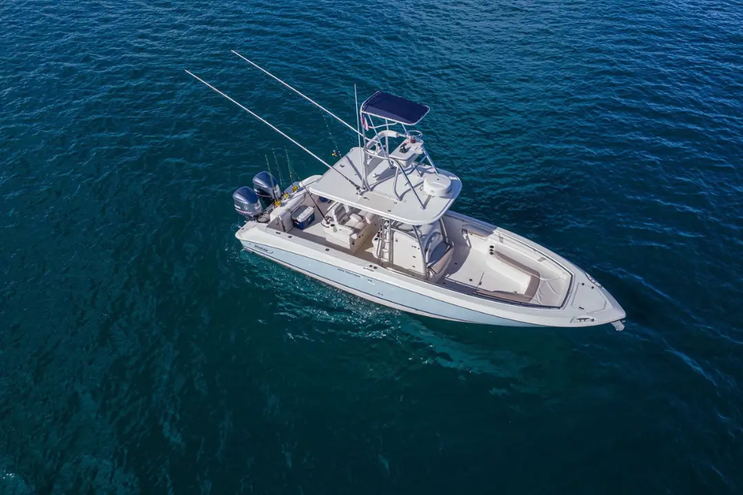 Yachts teaser