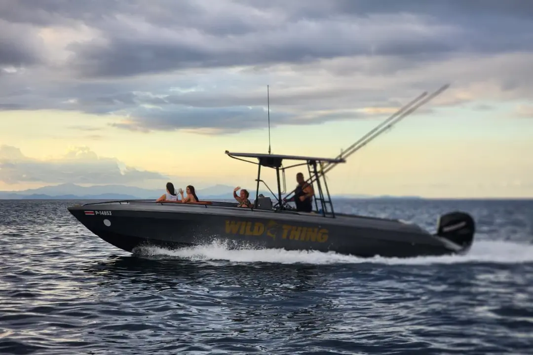 Yachts wild thing