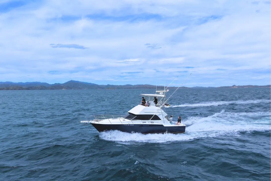 Yachts xeneize